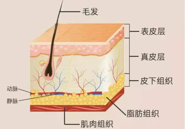 还在为皮肤健康而烦恼?中山一院广西医院助您科学护肤