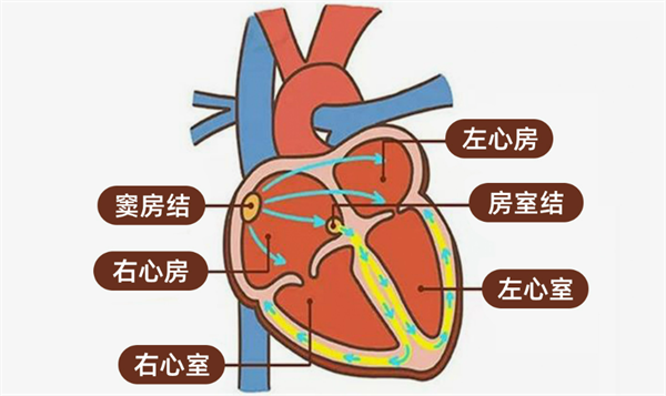 2222222222.png 2222222222.png